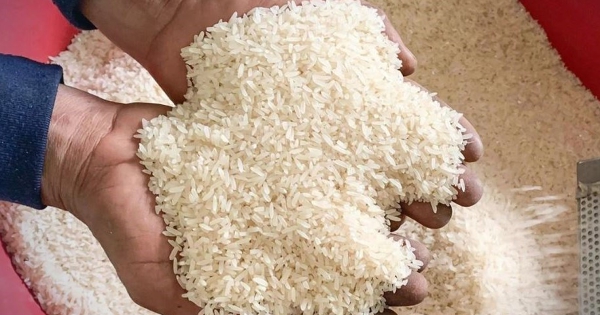 Giá lúa gạo hôm nay 1/8: Gạo bán lẻ Jasmines tăng 2.000 đồng/kg