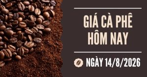 Giá cà phê hôm nay 14/8: Hai sàn giảm mạnh, robusta mất hơn 100 USD/tấn