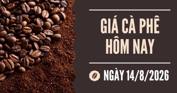 Giá cà phê hôm nay 14/8: Hai sàn giảm mạnh, robusta mất hơn 100 USD/tấn