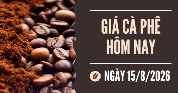 Giá cà phê hôm nay 15/8: Robusta kéo dài chuỗi đà giảm, trong nước mất mốc 95.000 đồng/kg