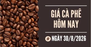Giá cà phê hôm nay 30/8: Trong nước và thế giới đồng loạt giảm trong tuần qua