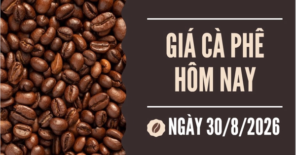 Giá cà phê hôm nay 30/8: Trong nước và thế giới đồng loạt giảm trong tuần qua