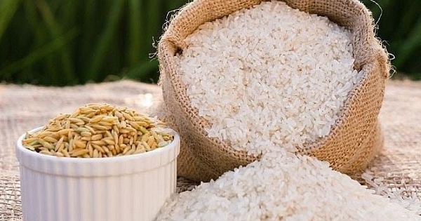 Giá lúa gạo hôm nay 10/8: Thị trường vẫn neo giá ở mức cao