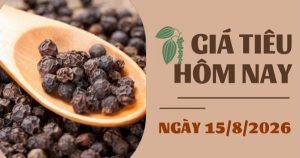 Giá tiêu hôm nay 15/8: Việt Nam vượt Indonesia, trở thành nguồn cung hồ tiêu lớn nhất vào Trung Quốc