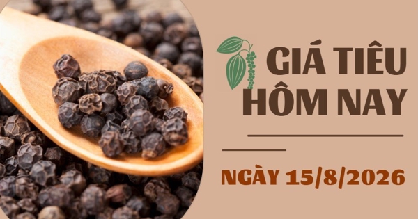 Giá tiêu hôm nay 15/8: Việt Nam vượt Indonesia, trở thành nguồn cung hồ tiêu lớn nhất vào Trung Quốc