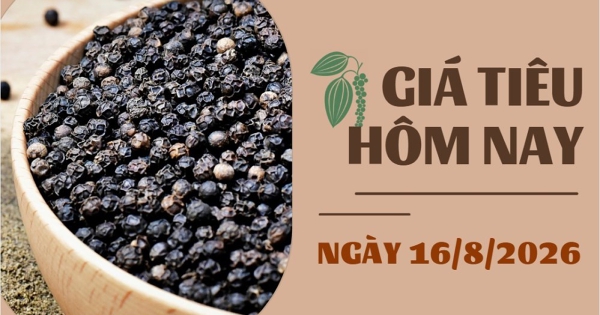 Giá tiêu hôm nay 16/8: Tiêu xuất khẩu của Việt Nam và Indonesia tăng nhẹ trong tuần qua
