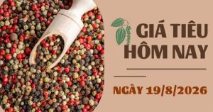 Giá tiêu hôm nay 19/8: Xuất khẩu tiêu sang Trung Quốc tăng 200% trong nửa đầu tháng 8