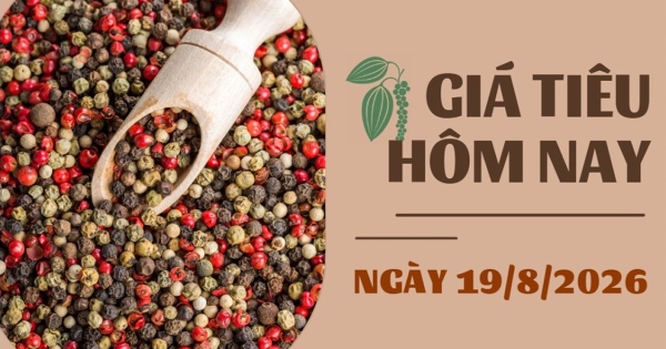 Giá tiêu hôm nay 19/8: Xuất khẩu tiêu sang Trung Quốc tăng 200% trong nửa đầu tháng 8