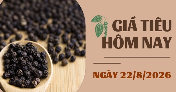 Giá tiêu hôm nay 22/8: Thị trường trầm lắng, xuất khẩu hồ tiêu của Indonesia giảm mạnh