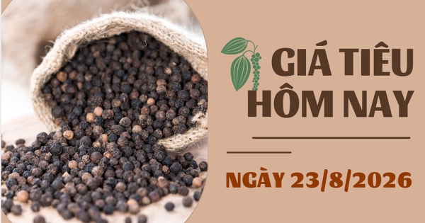 Giá tiêu hôm nay 23/8: Ổn định trong tuần, cao nhất 139.000 đồng/kg