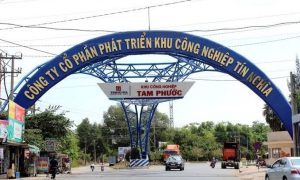 TIP chuẩn bị chia cổ tức tiền mặt trong tháng 9