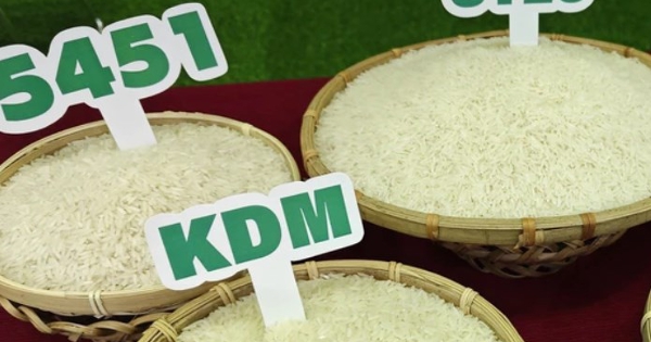 Giá lúa gạo hôm nay 21/8: Gạo nguyên liệu giảm ngày thứ ba liên tiếp