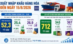 Xuất nhập khẩu đến ngày 15 8 đạt 712 tỷ USD mặt hàng nào tăng mạnh nhất
