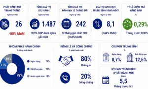 Phát hành trái phiếu mới giảm nhiệt tỷ lệ chậm trả thấp nhất 12 tháng