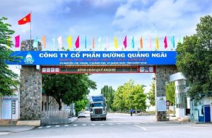 Đường Quảng Ngãi chi 368 tỷ đồng tạm ứng cổ tức năm 2026