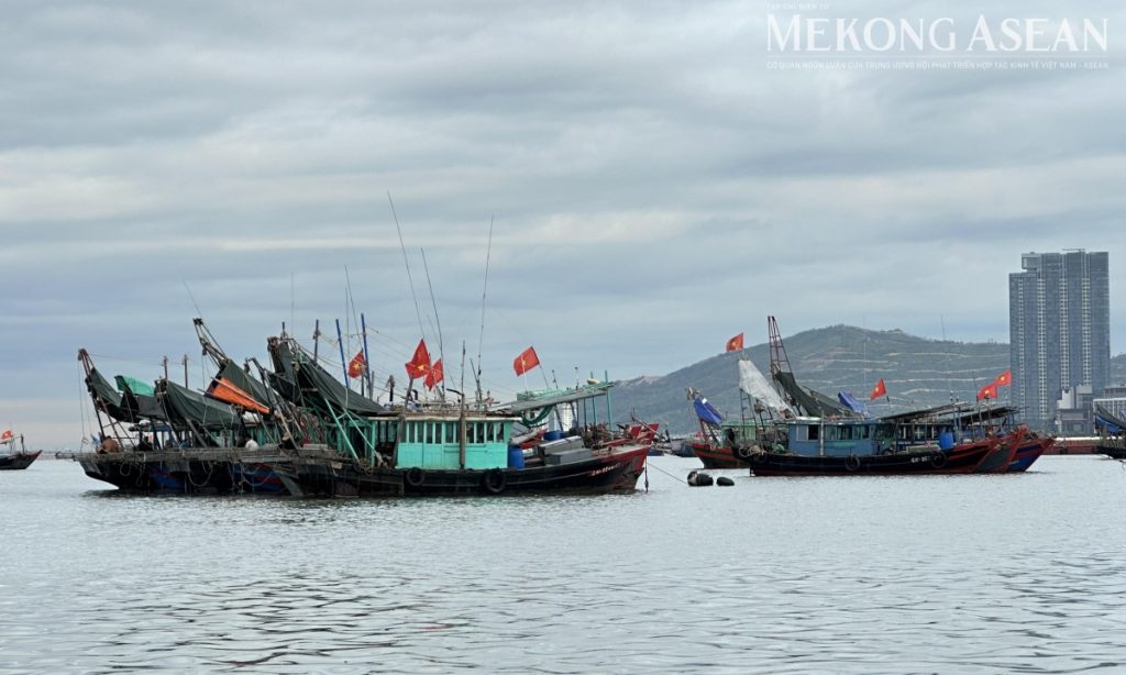 Sản xuất nông nghiệp tháng 7 tăng trưởng ở hầu hết các lĩnh vực