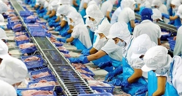 Vĩnh Hoàn 'hụt hơi' trong tháng 7, doanh thu thị trường Mỹ giảm 36%