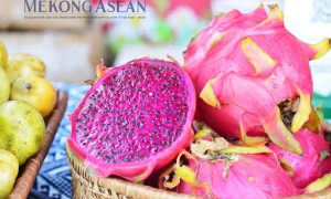 Xuất khẩu nông lâm thủy sản vượt 42 tỷ USD đạt 58 kế hoạch năm