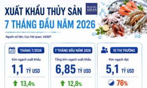 Đạt 6 8 tỷ USD trong 7 tháng xuất khẩu thủy sản tăng tốc ở 10 thị trường chủ lực