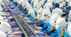 Xuất khẩu thuỷ sản đạt gần 7 tỷ USD trong 7 tháng, giai đoạn thuận lợi nhất có thể đã qua?