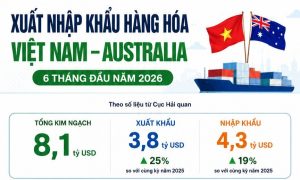 Kim ngạch xuất nhập khẩu Việt Nam Australia tăng tốc cán mốc 8 tỷ USD