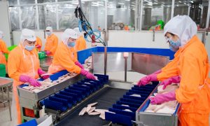 Phó Tổng giám đốc Navico tiếp tục xuống tiền mua cổ phiếu ANV