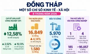 Kinh tế Đồng Tháp tháng 8 Thêm 207 doanh nghiệp mới 3 dự án tăng vốn