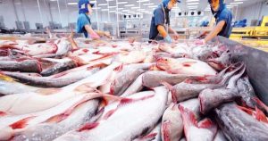 Xuất khẩu thủy sản tháng 8 tăng 6%
