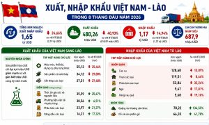 Mảng hóa chất hụt hơi xuất khẩu sang Lào giảm hơn 40