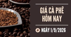 Giá cà phê hôm nay 1/9: Robusta đảo chiều tăng trở lại