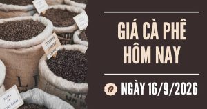 Giá cà phê hôm nay 16/9: Quay đầu giảm trước sức ép nguồn cung vụ mới từ Brazil