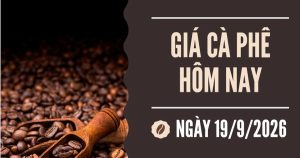 Giá cà phê hôm nay 19/9: Đảo chiều tăng nhẹ do đồng USD suy yếu