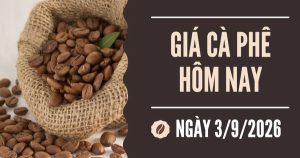 Giá cà phê hôm nay 3/9: Tiếp đà lao dốc