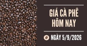 Giá cà phê hôm nay 5/9: Robusta bật tăng mạnh sau chuỗi giảm liên tiếp