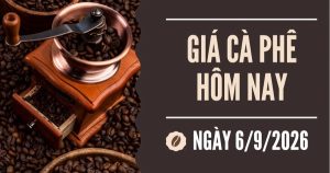 Giá cà phê hôm nay 6/9: Giảm tuần thứ hai liên tiếp, nhiều địa phương về dưới 95.000 đồng/kg
