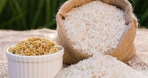 Giá lúa gạo hôm nay 14/9: Gạo nguyên liệu và phụ phẩm tiếp tục tăng