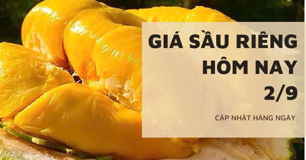 Giá sầu riêng hôm nay 2/9: Duy trì ổn định, Đắk Lắk chủ động 3 kịch bản tiêu thụ sầu riêng vụ 2026