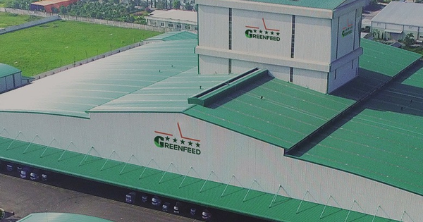 Greenfeed lãi hơn 1.700 tỷ đồng sau nửa đầu năm 2026