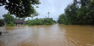 Lũ vượt mức báo động 3 hơn 2 000 ngôi nhà chìm trong biển nước