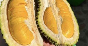 Rau quả Việt Nam đang ở đâu trên thị trường Trung Quốc?