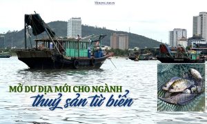 Mở dư địa mới cho ngành thuỷ sản từ nuôi biển