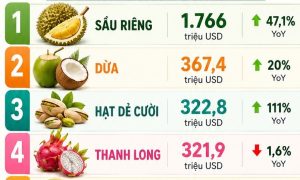 Xuất khẩu rau quả 8 tháng đầu năm 2026 đạt gần 6 tỷ USD